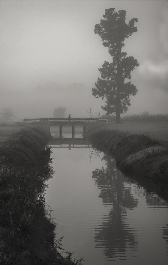 "Bajo la niebla" de Nestor Jesus Maulini