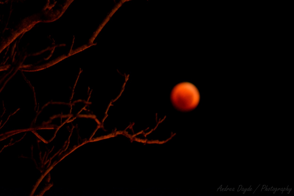 "Luna de sangre" de Andrea Dayde
