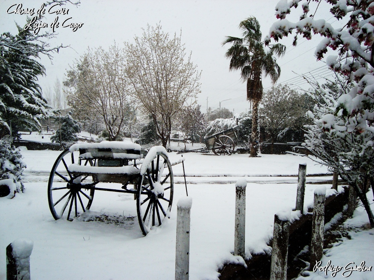 "Mendoza nevada..." de Rodrigo Grabina