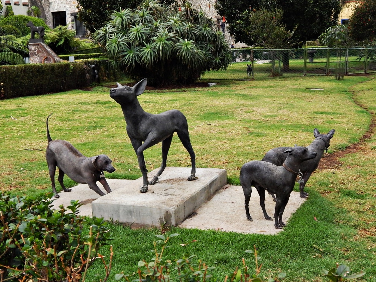 "Los Xolos, los perros de Xochimilco." de Jos Luis Mansur