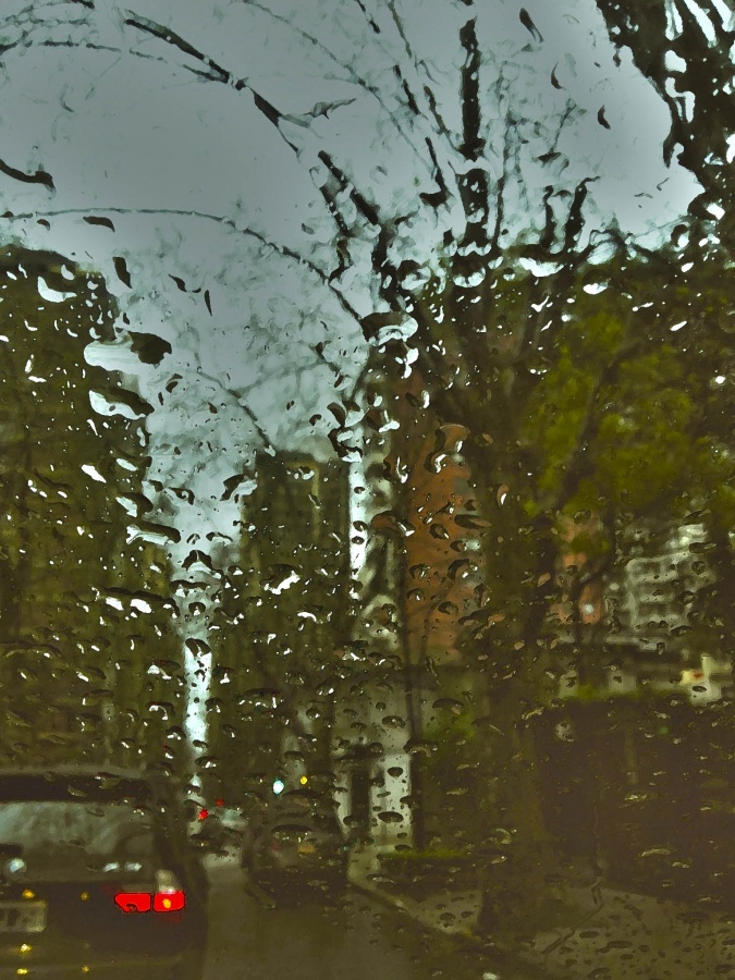 "Tarde de lluvia" de Mercedes Pasini