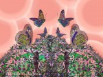 Simetra alada - No solo las mariposas vuelan....