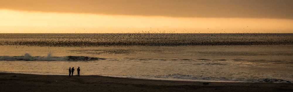 "Mirando aves en el mar" de Mario Angel Alonso