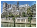 Paris-Notre Dame