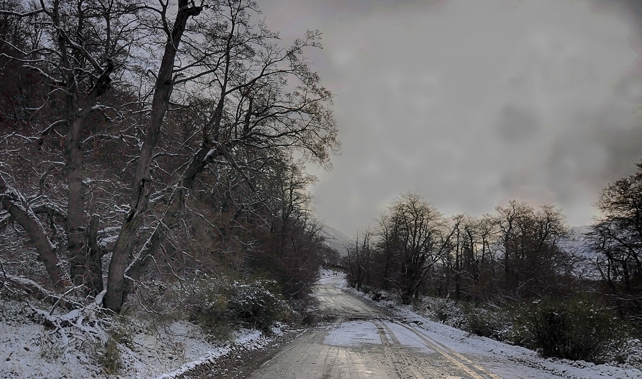 "camino nevado" de Edith Polverini