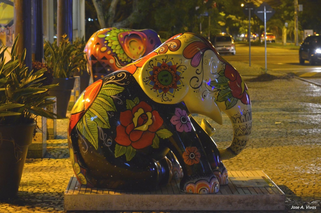 "Noche de elefantes en Floripa" de Jose A. Vivas