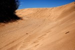 Curva en la duna