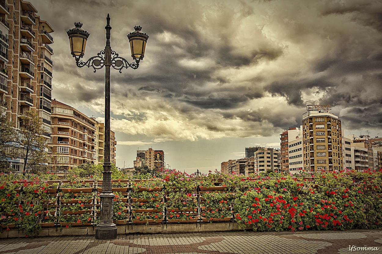 "Flores en el puente" de Luis Fernando Somma (fernando)