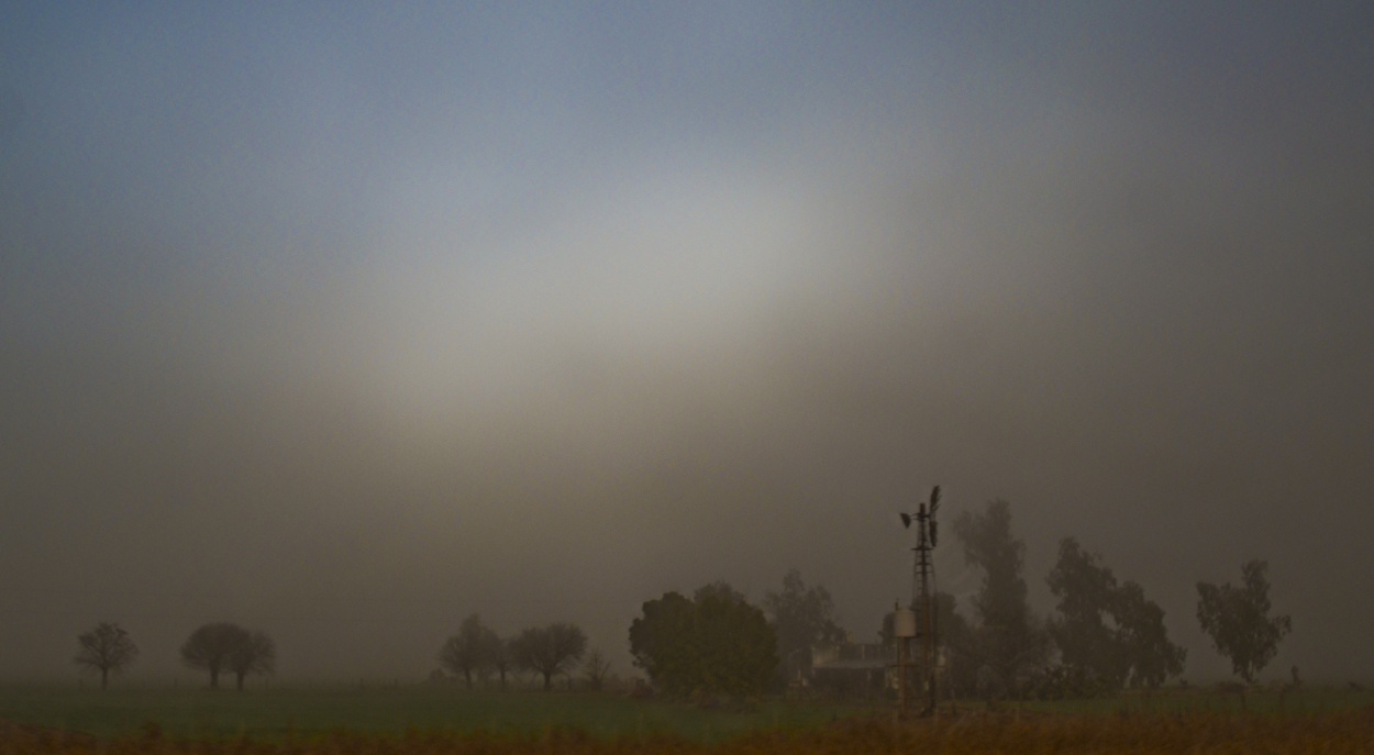 "Niebla baja" de Mercedes Pasini