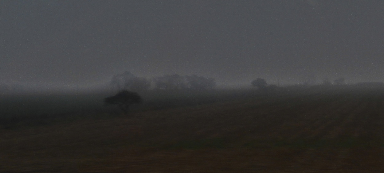 "Niebla sobre el campo arado" de Mercedes Pasini