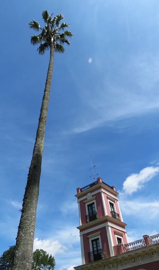 "La torre" de Anbal H. Lpez