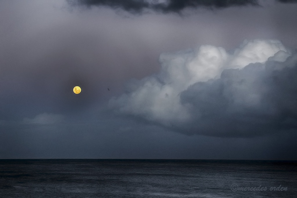 "la luna y el mar" de Mercedes Orden