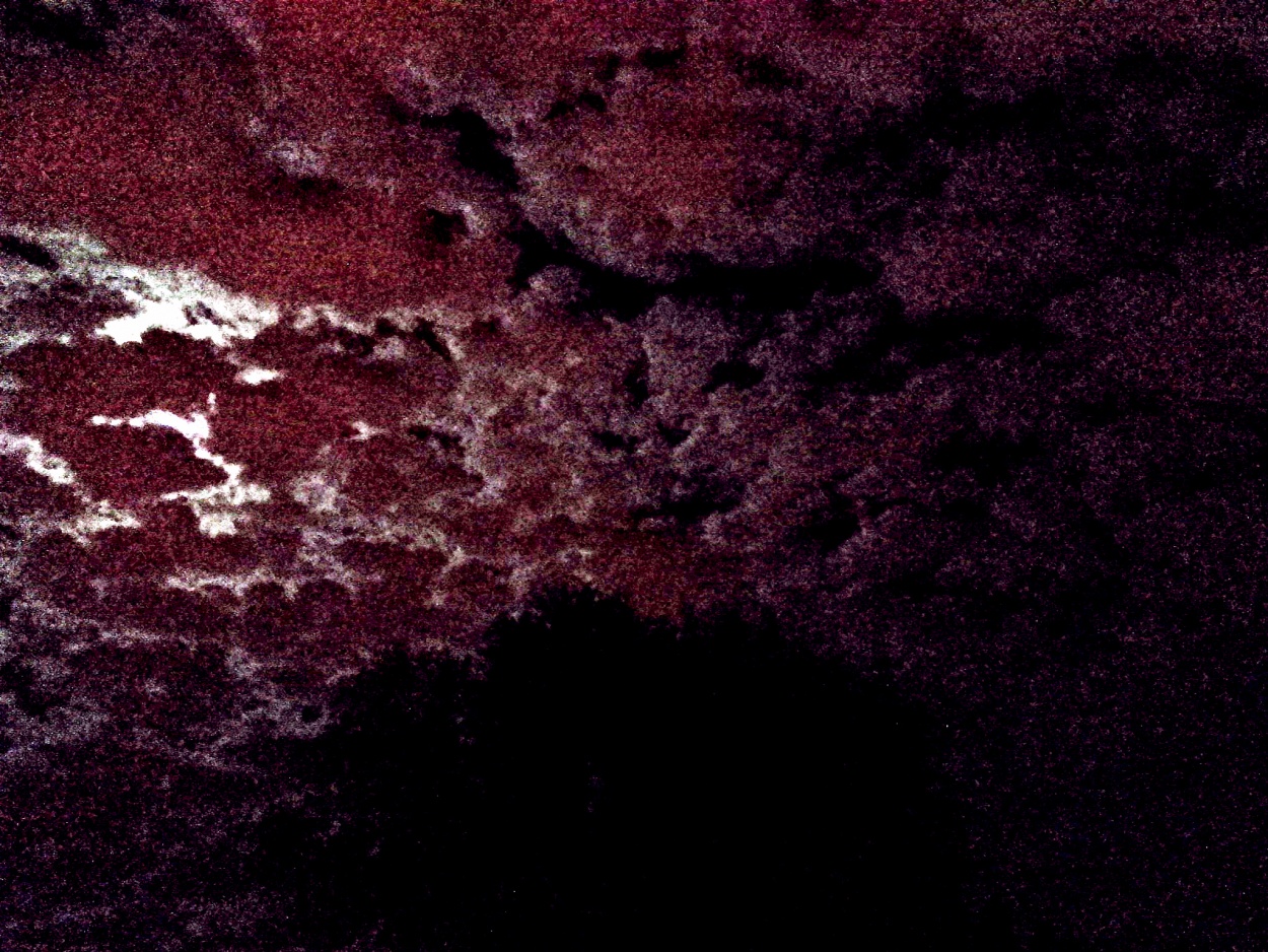 "rbol sobre cielo fragmentado" de Mercedes Pasini