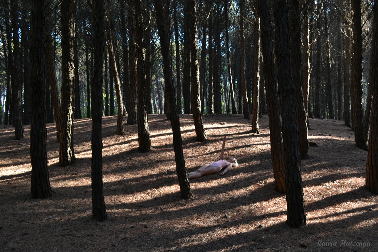 "La doncella en el bosque" de Laura Noem Huizenga