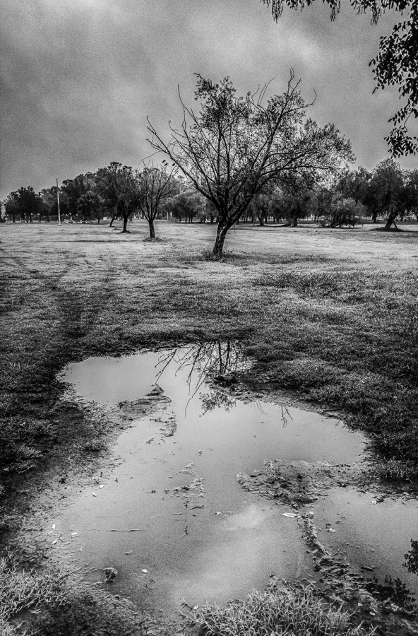 "Demasiada lluvia II" de Fernando Valdez Vazquez