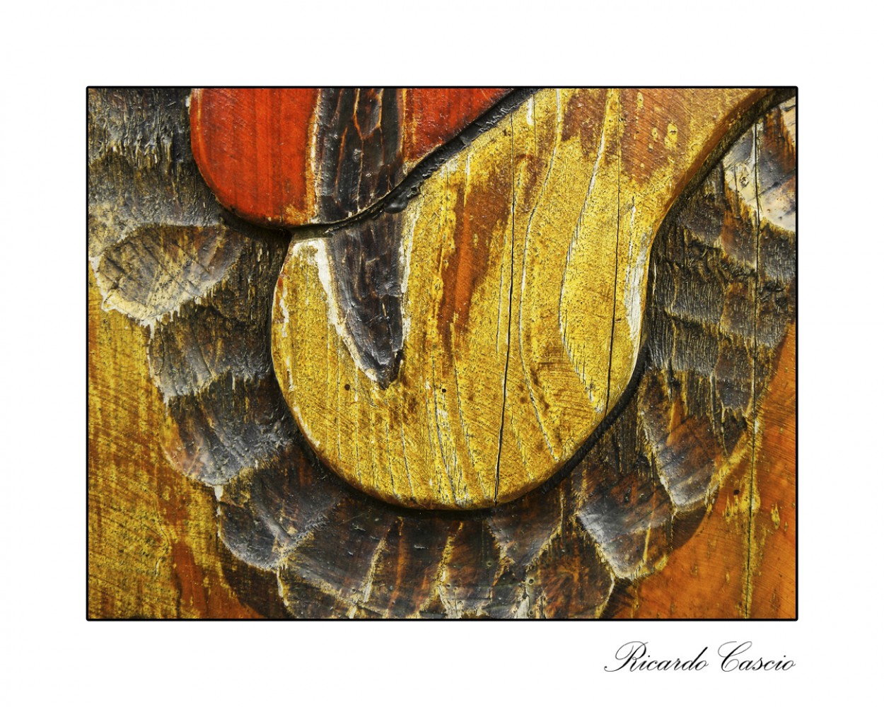 "Maderas abstractas" de Ricardo Cascio