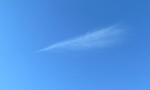Una pluma en el cielo
