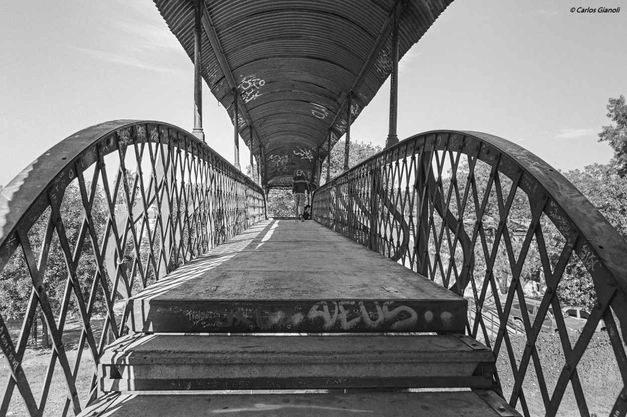 "El puente" de Carlos Gianoli