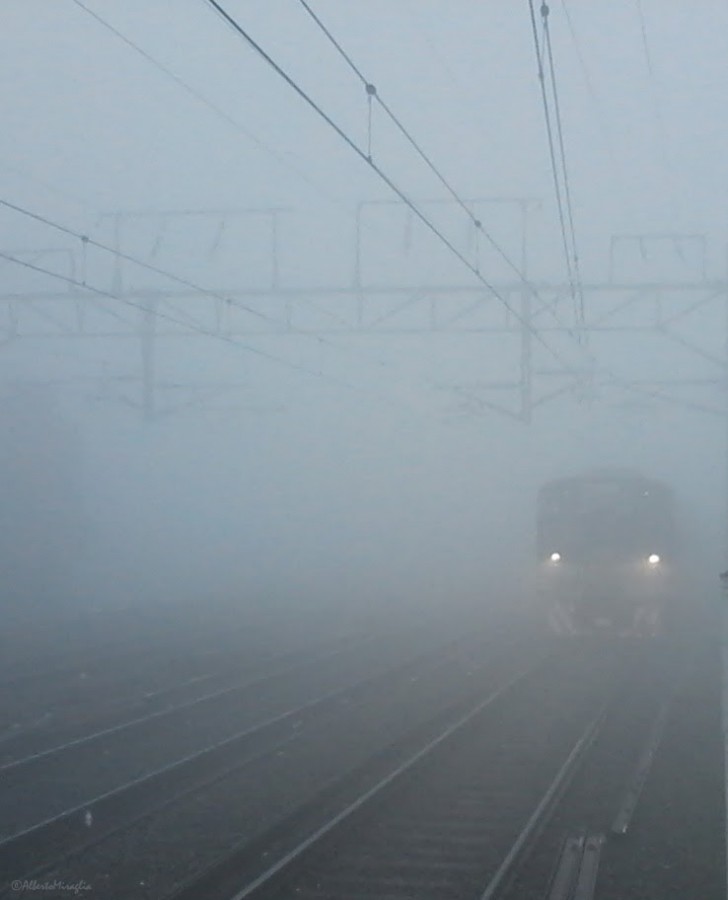 "La Niebla" de Alberto Miraglia