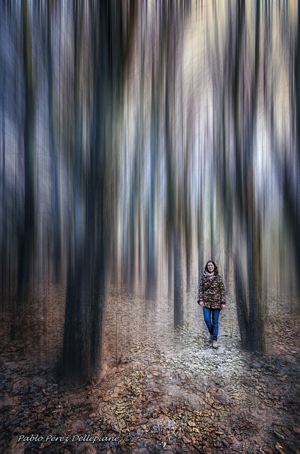 "En el bosque" de Pablo Perez Dellepiane