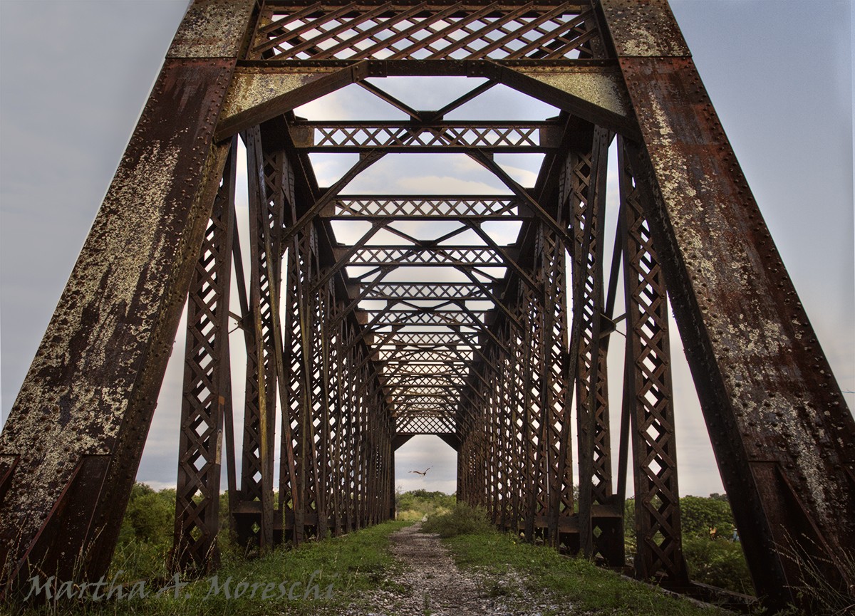 "El puente" de Martha A. Moreschi
