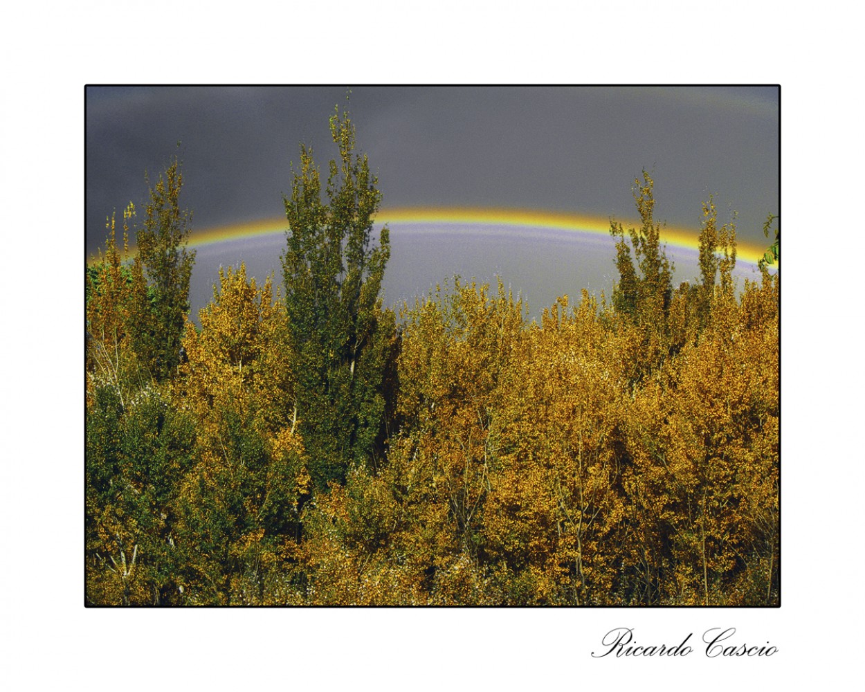 "Mas all del arcoiris" de Ricardo Cascio