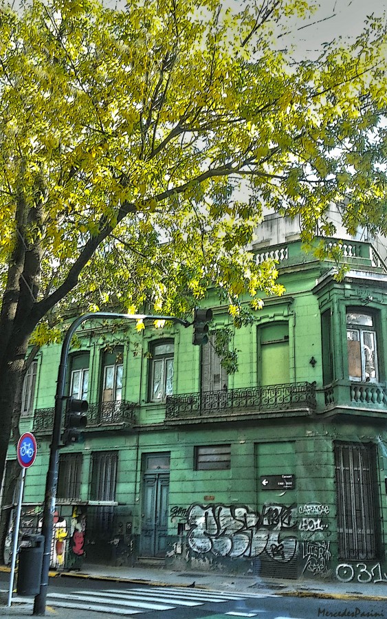 "Verde sobre verde, vieja esquina portea" de Mercedes Pasini
