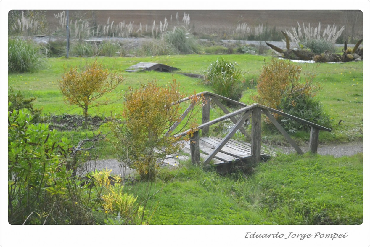 "El puentecito" de Eduardo Jorge Pompei