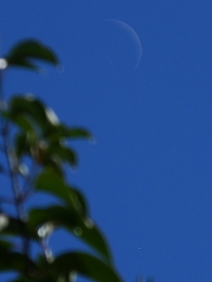 "Luna y Venus a las 13:00:22 de hoy" de Juan Fco. Fernndez