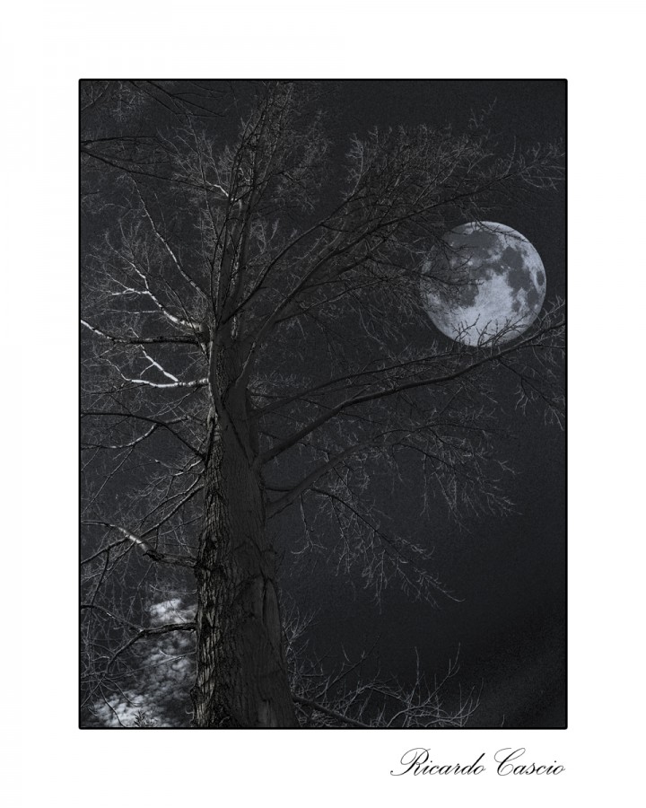 "Fantasa con luna" de Ricardo Cascio