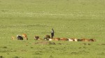 arriero Masai