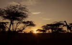 atardecer en Masai Mar