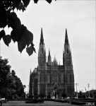 La bella (Catedral de La Plata)