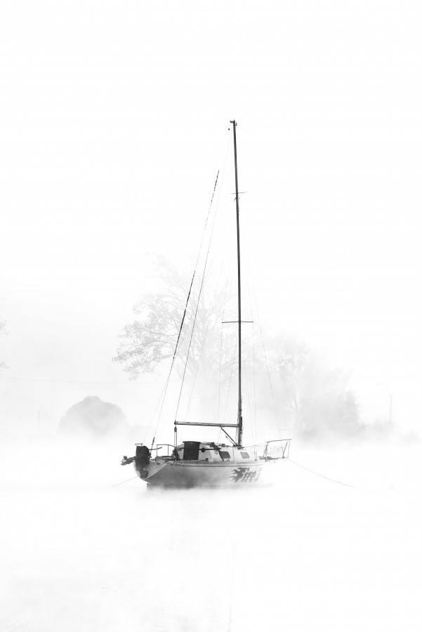 "Entre nieblas ..." de Martin Gil