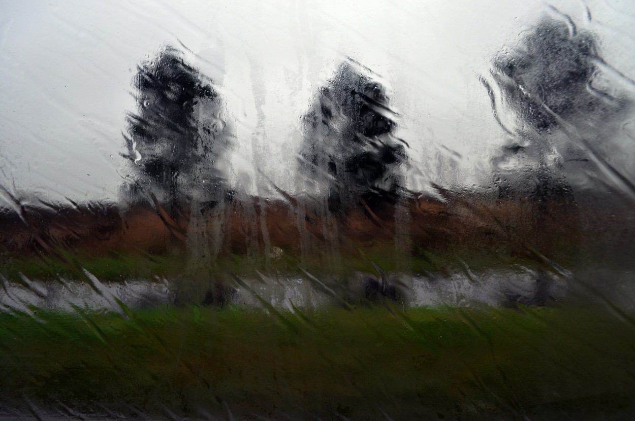"Llueve!!!" de Silvia Emilia Guerra