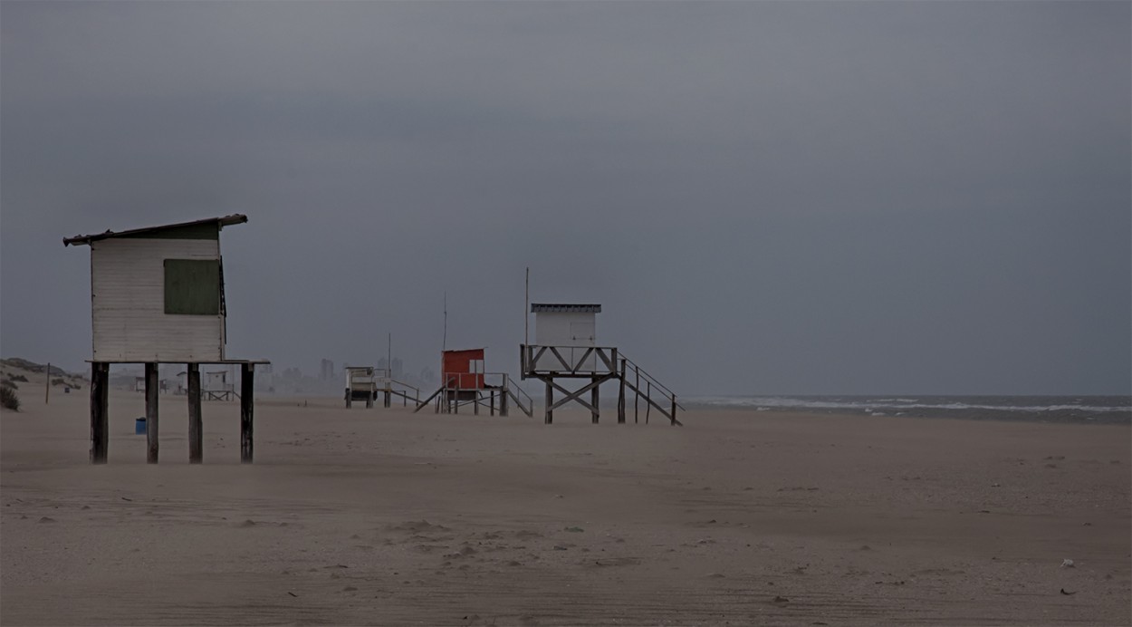 "la playa" de Edith Polverini