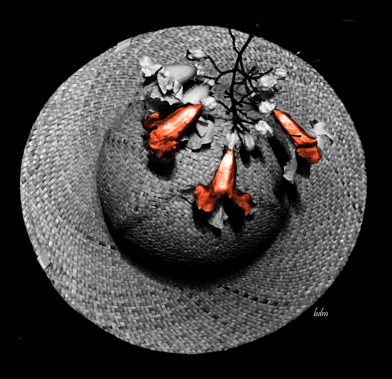 "sombrero ." de Beatriz Di Marzio