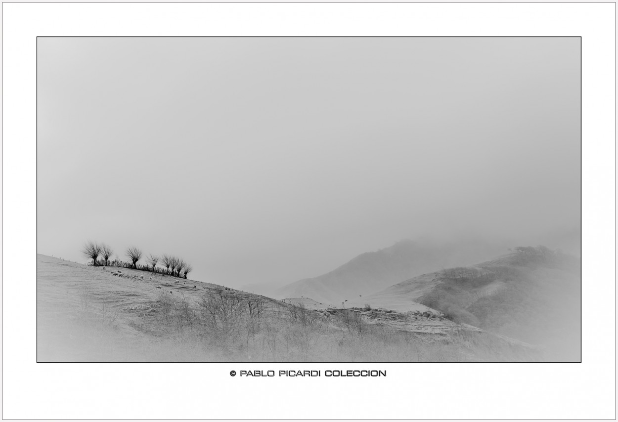"Caminando en la niebla" de Pablo Picardi