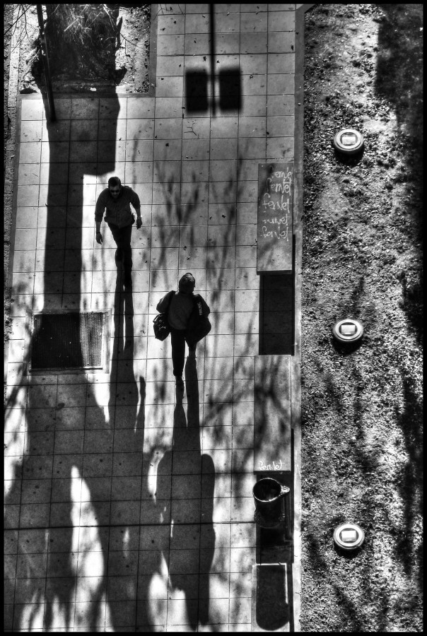 "Sombras de la tarde II" de Kile Zabala