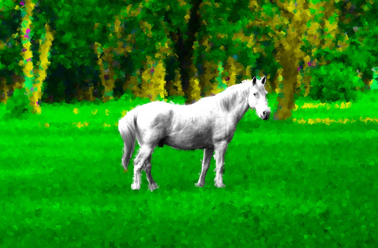 "el blanco caballo de...." de Guillermo Covelli