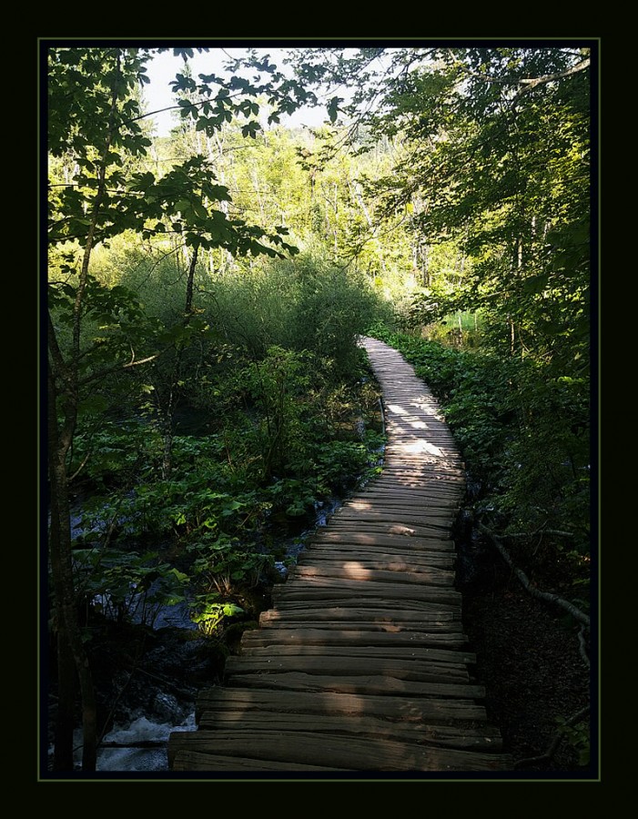 "Este sendero nos lleva a ...." de Arturo H. Pea
