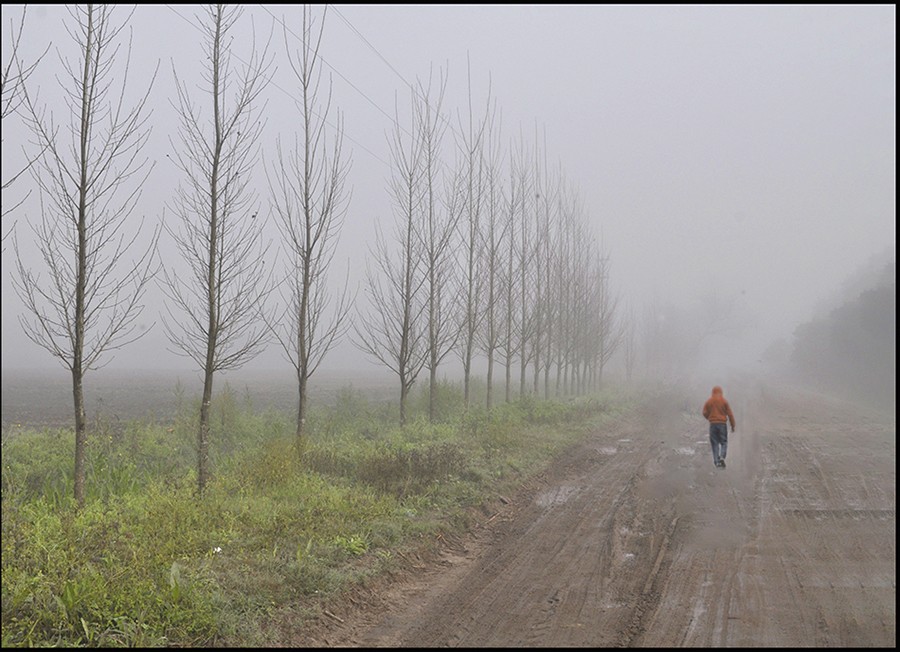 "Neblinosa jornada" de Ruben Perea