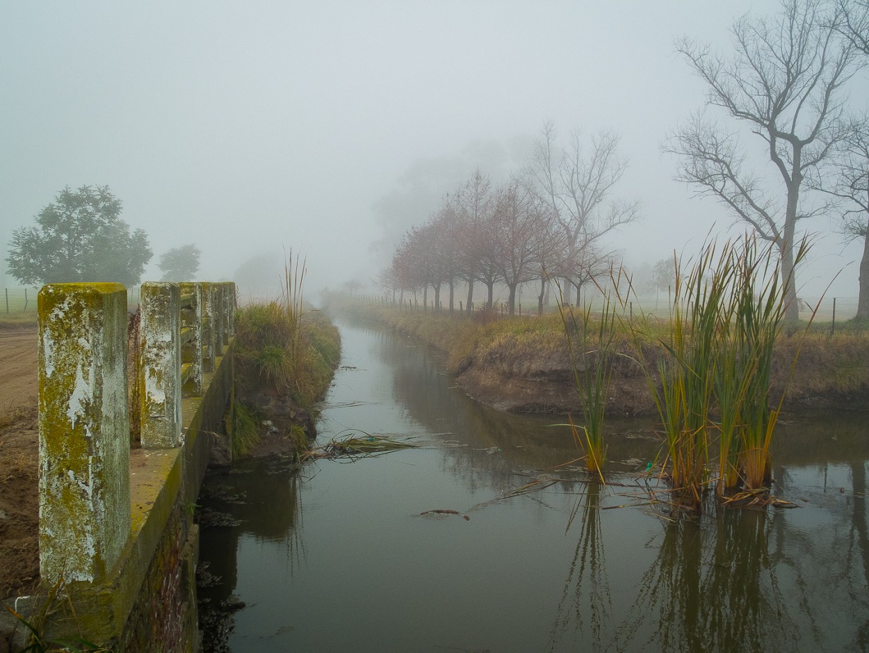 "Niebla en el canal" de Fernando Valdez Vazquez