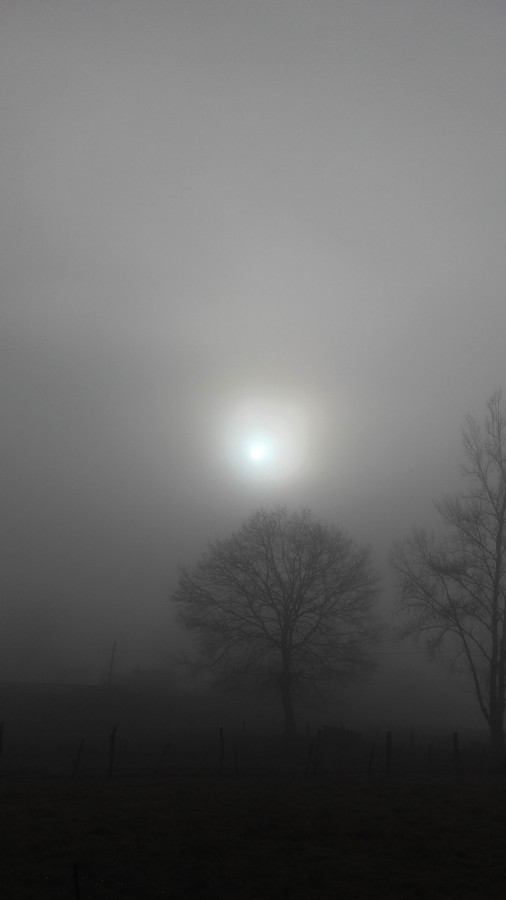 "Niebla en Asturias" de Elena Rosenfeld