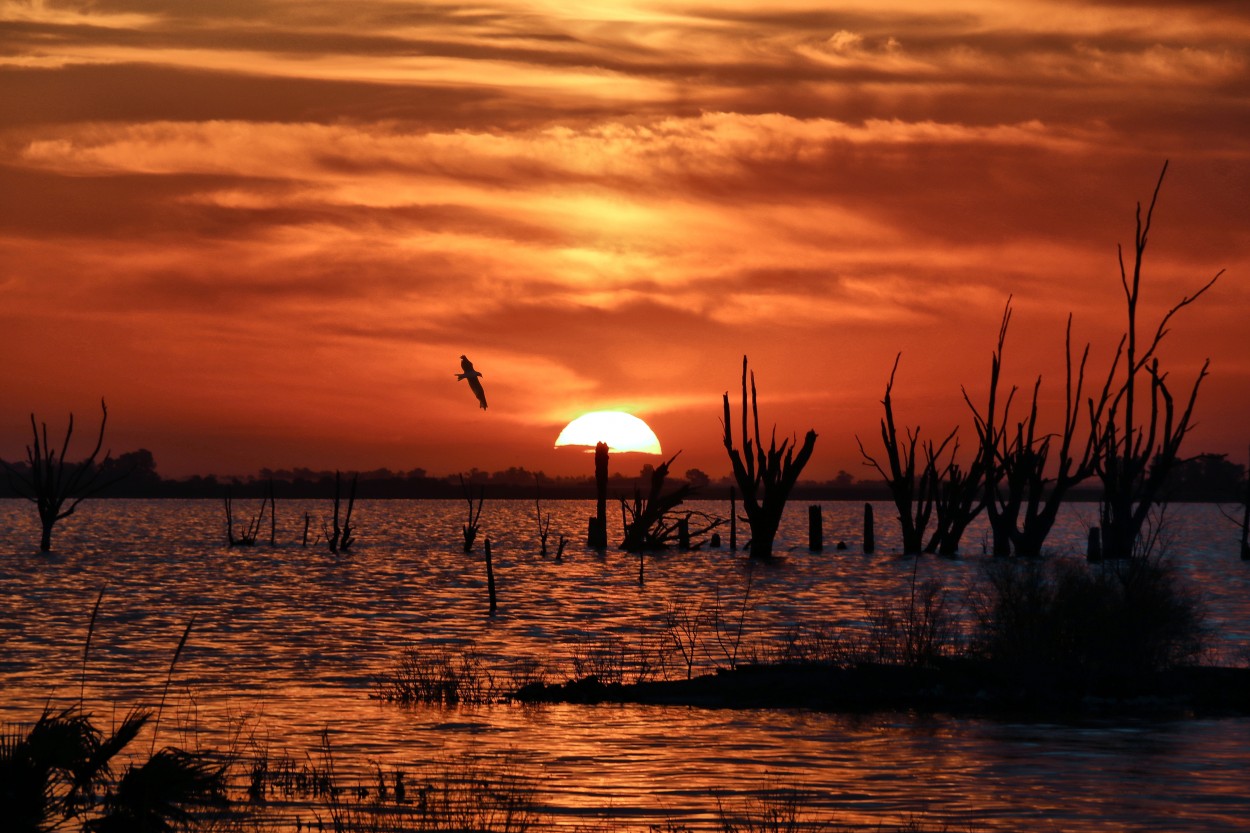 "Ultimo sol en la laguna" de Juan Carlos Barilari