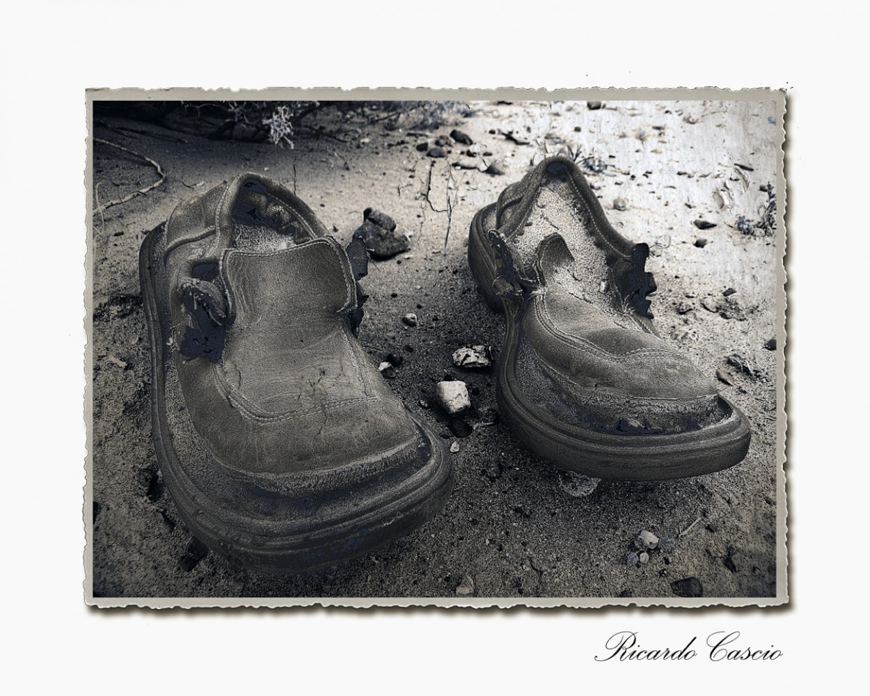 "serie: `de abandonos y olvidos`" de Ricardo Cascio