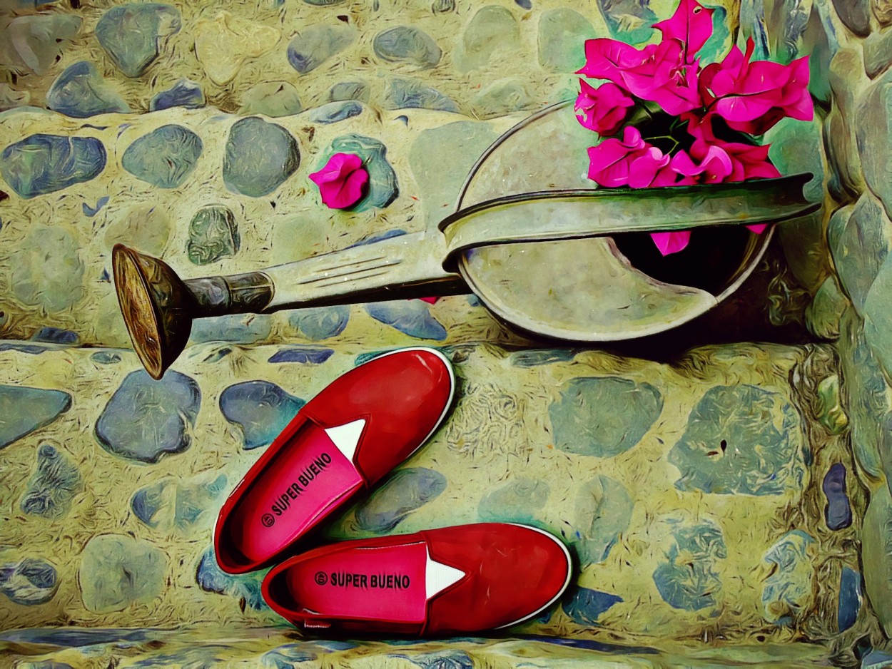 "Regadera y zapatos rojos." de Ana Maria Walter