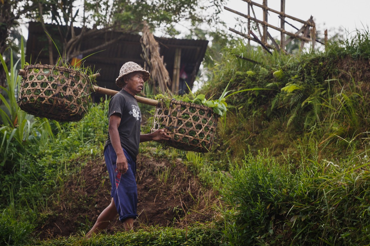 "Trabajadores de arrozales" de Facundo Ruffinengo