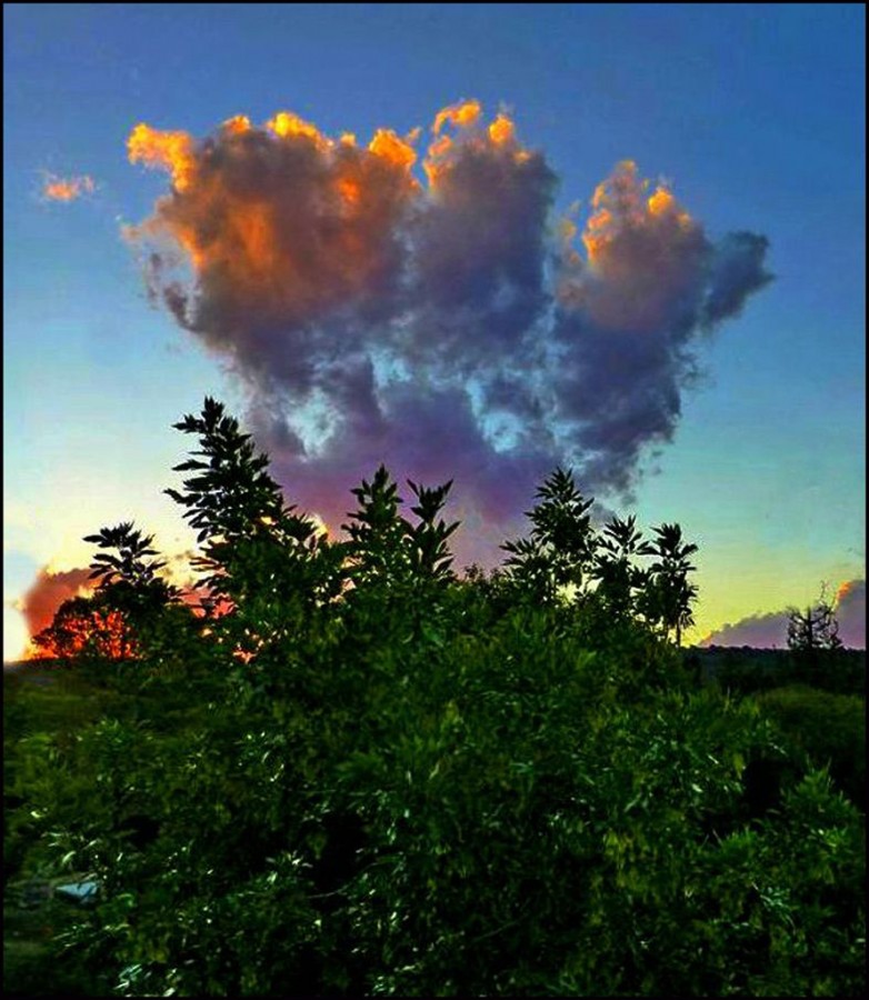 "Ptalo de nubes" de Arturo H. Pea