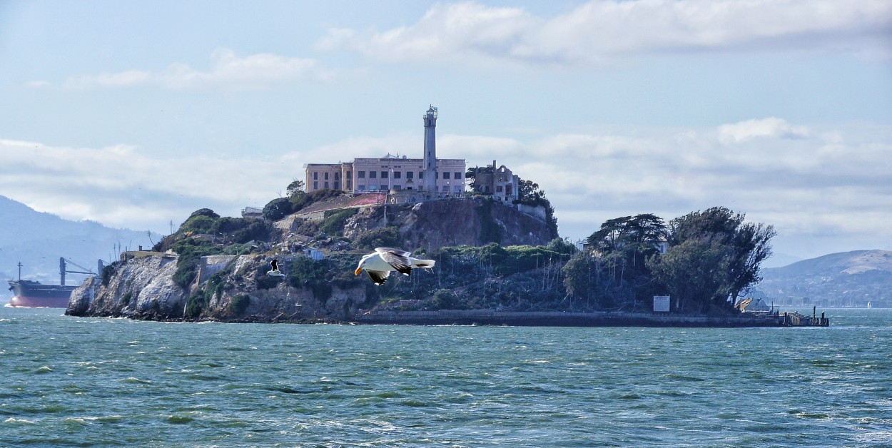 "Sobrevolando Alcatraz!!!" de Sergio Valdez